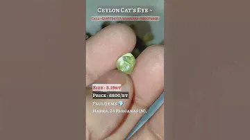 Ceylon Cats eye SUPER quality price ₹6800/rt |Paul Gems 💎cats eye New Collection very very Low Price