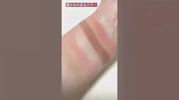 CLIO新作！PRO MOOD PALETTE♡01号ドリーミーモーメント
